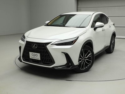 LEXUS NX - 1