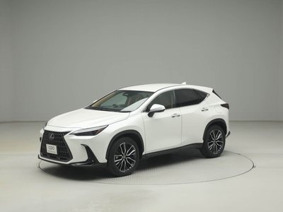 LEXUS NX - 6