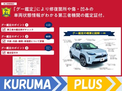 2025 Toyota LAND CRUISER 250 photo 8