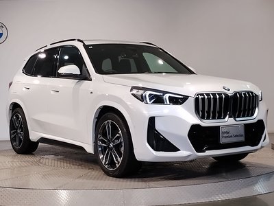 BMW X1 - 6