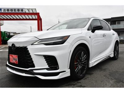 صورة 6 لـ 2023 Lexus RX