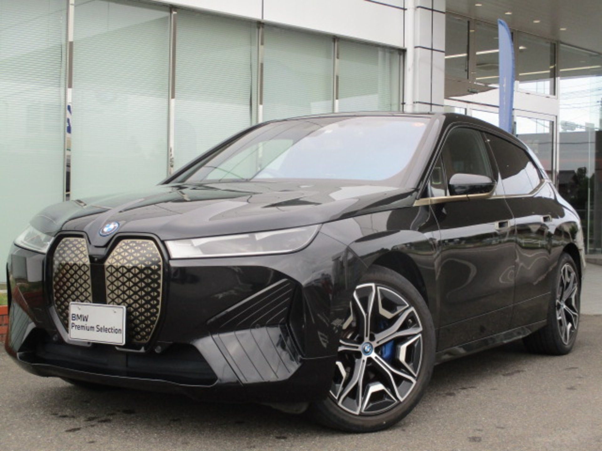 BMW IX - View 1