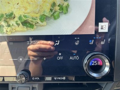 2024 Lexus GX 照片 28