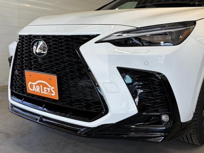 LEXUS NX - 10