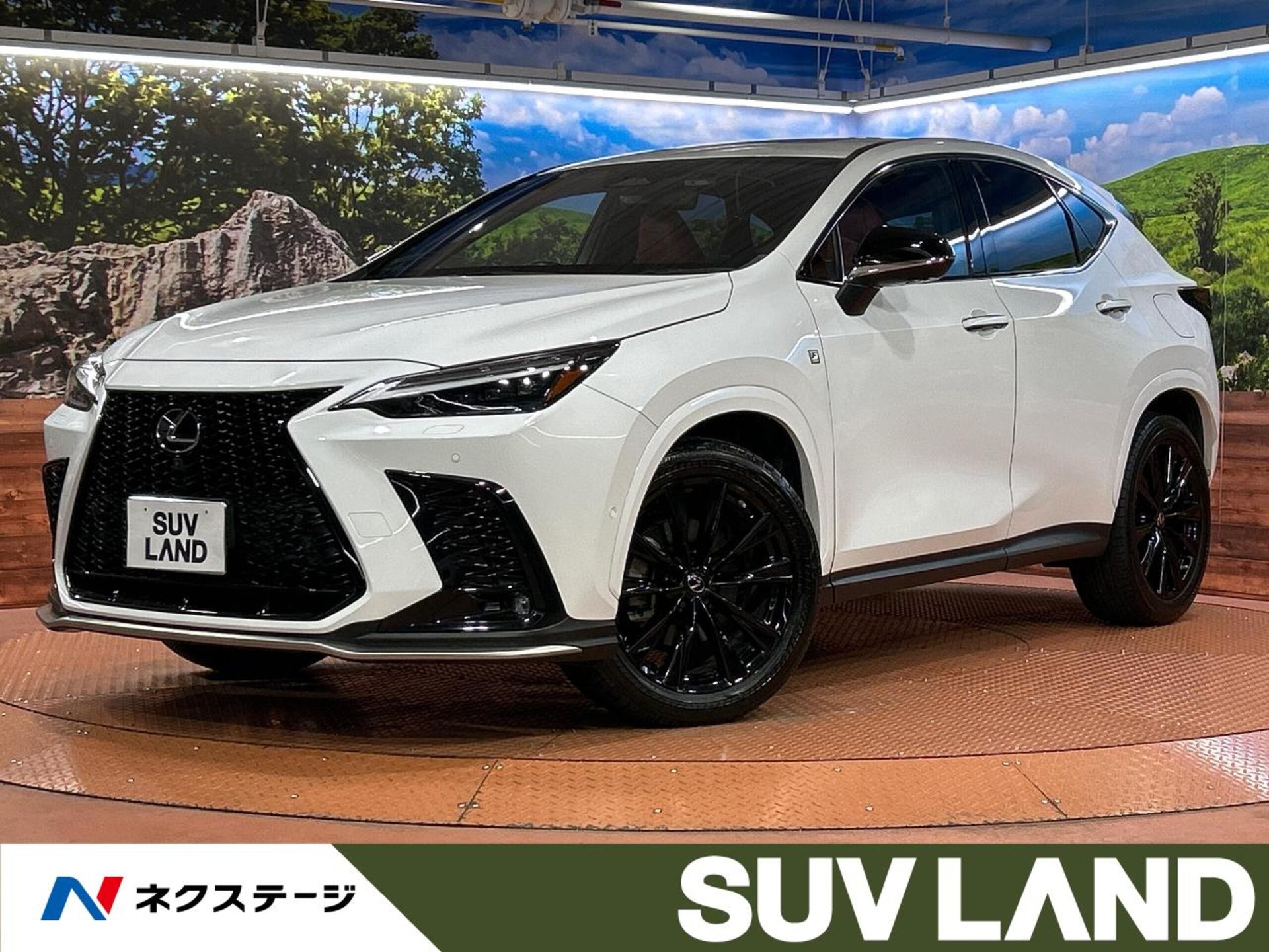 LEXUS NX - View 1