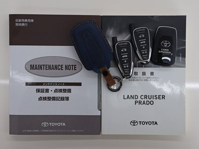 2019 Toyota LAND CRUISER PRADO 缩略图 42