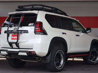 2019 Toyota LAND CRUISER PRADO 缩略图 45