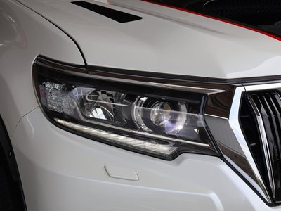 2019 Toyota LAND CRUISER PRADO 缩略图 20