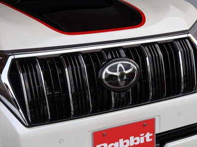 2019 Toyota LAND CRUISER PRADO 缩略图 21