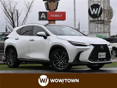 LEXUS NX - 2
