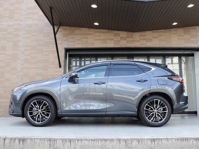 LEXUS NX - 8