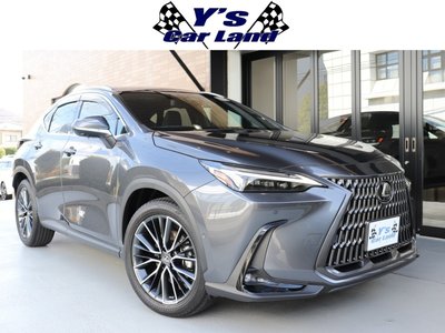 LEXUS NX - 1