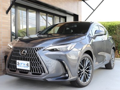 LEXUS NX - 10