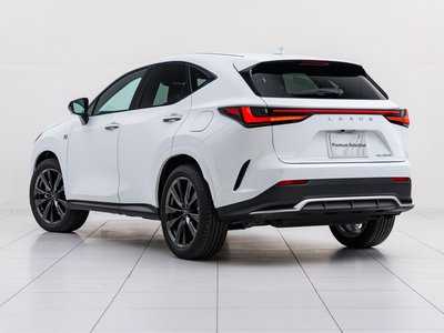LEXUS NX - 10