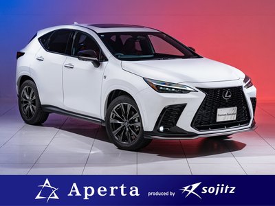 LEXUS NX - 1