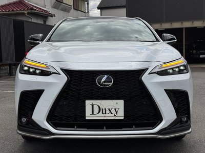 2026 Lexus NX photo 7