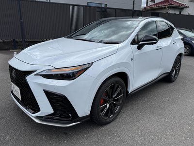2026 Lexus NX photo 8