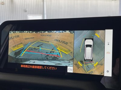 TOYOTA LAND CRUISER 250 - 5