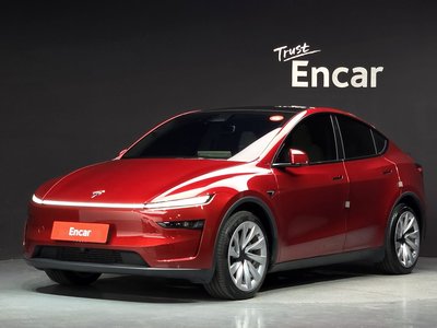 2025 Tesla MODEL Y photo 1