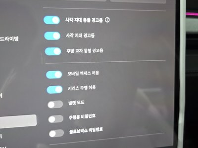 2025 Tesla MODEL Y 缩略图 30