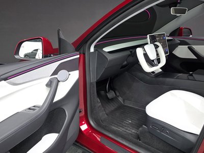 2025 Tesla MODEL Y 缩略图 13