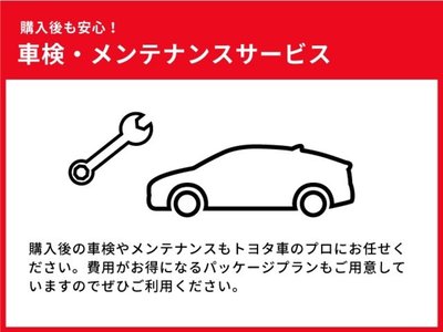 2021 Lexus LS 照片 7
