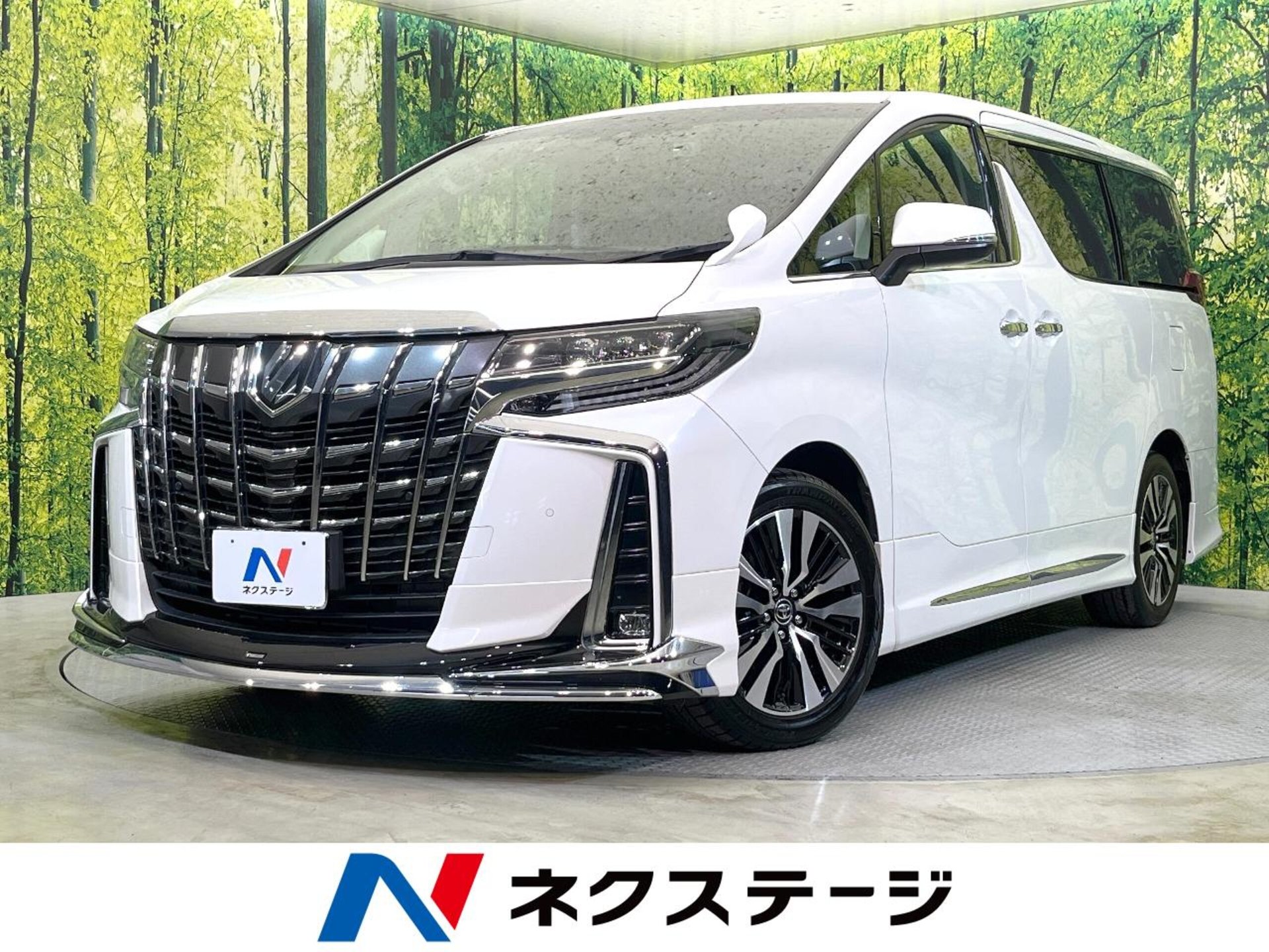 TOYOTA ALPHARD - View 1