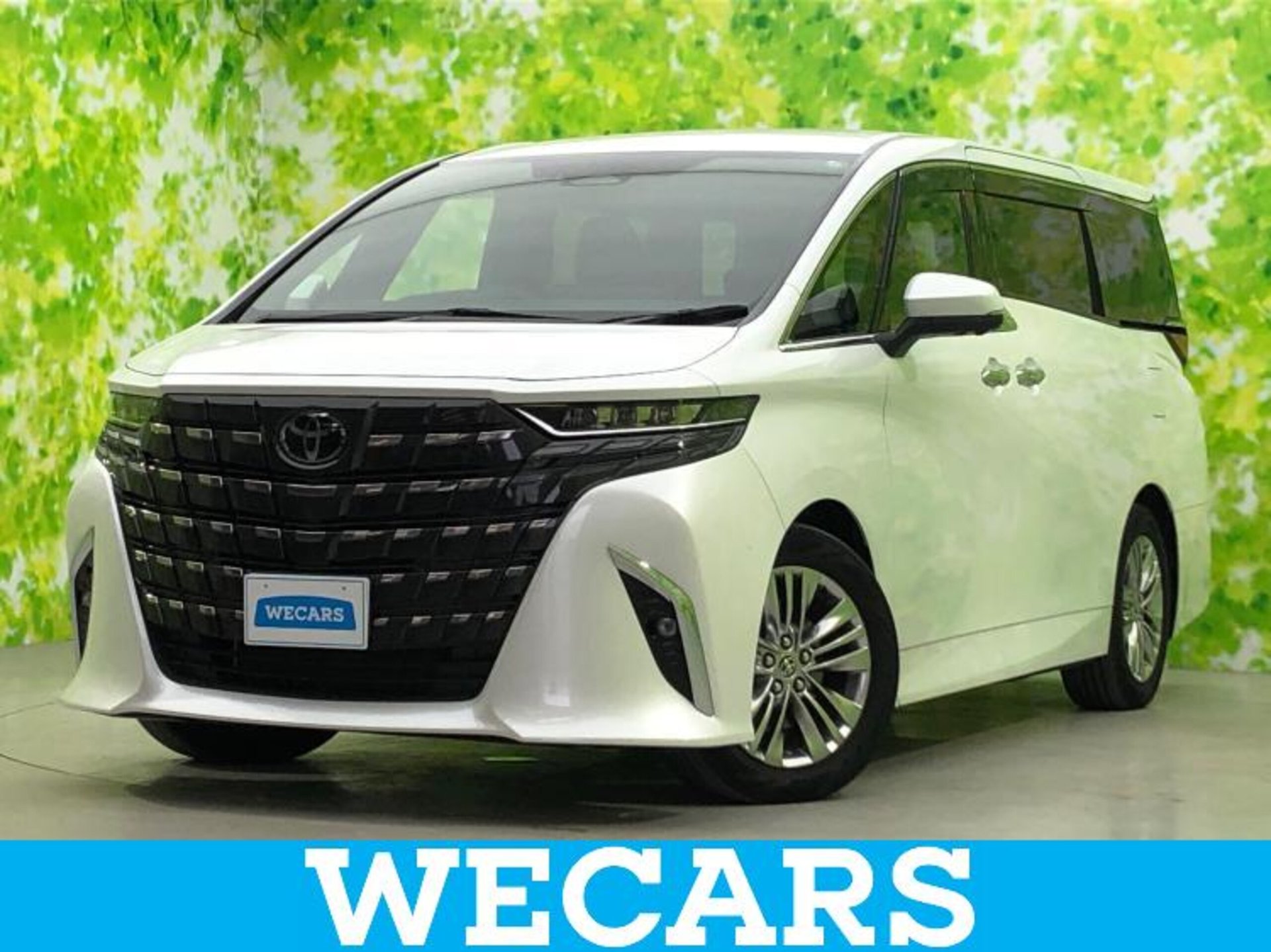 TOYOTA ALPHARD - View 1