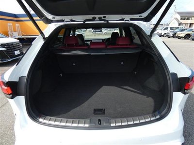 2024 Lexus RX — миниатюра 38