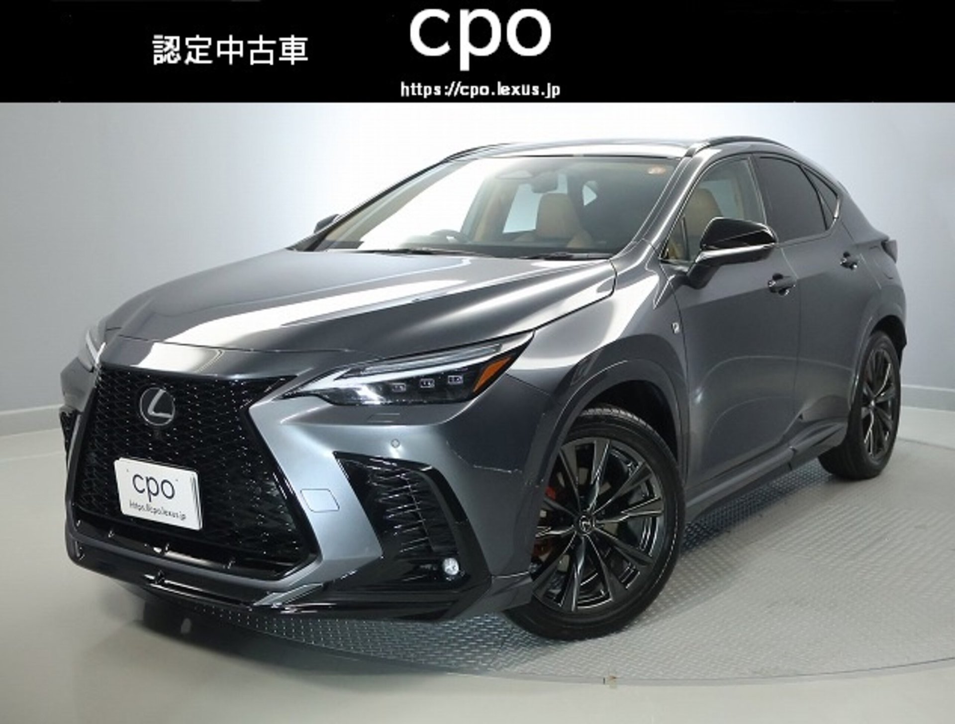 LEXUS NX - View 1