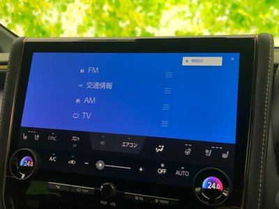 TOYOTA ALPHARD - 10