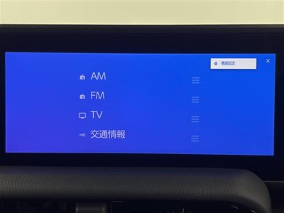 TOYOTA LAND CRUISER 250 - 8