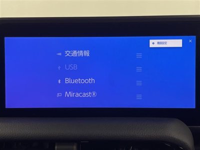 TOYOTA LAND CRUISER 250 - 9