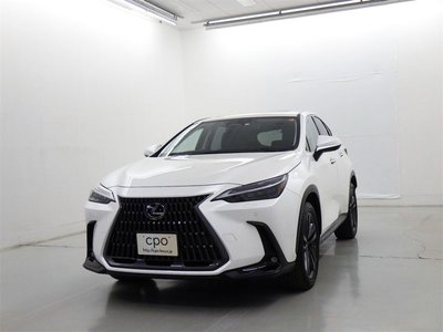 LEXUS NX - 1