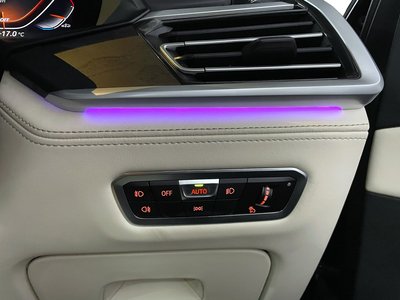 2021 BMW X7 — миниатюра 55