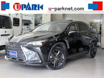 LEXUS NX - 3