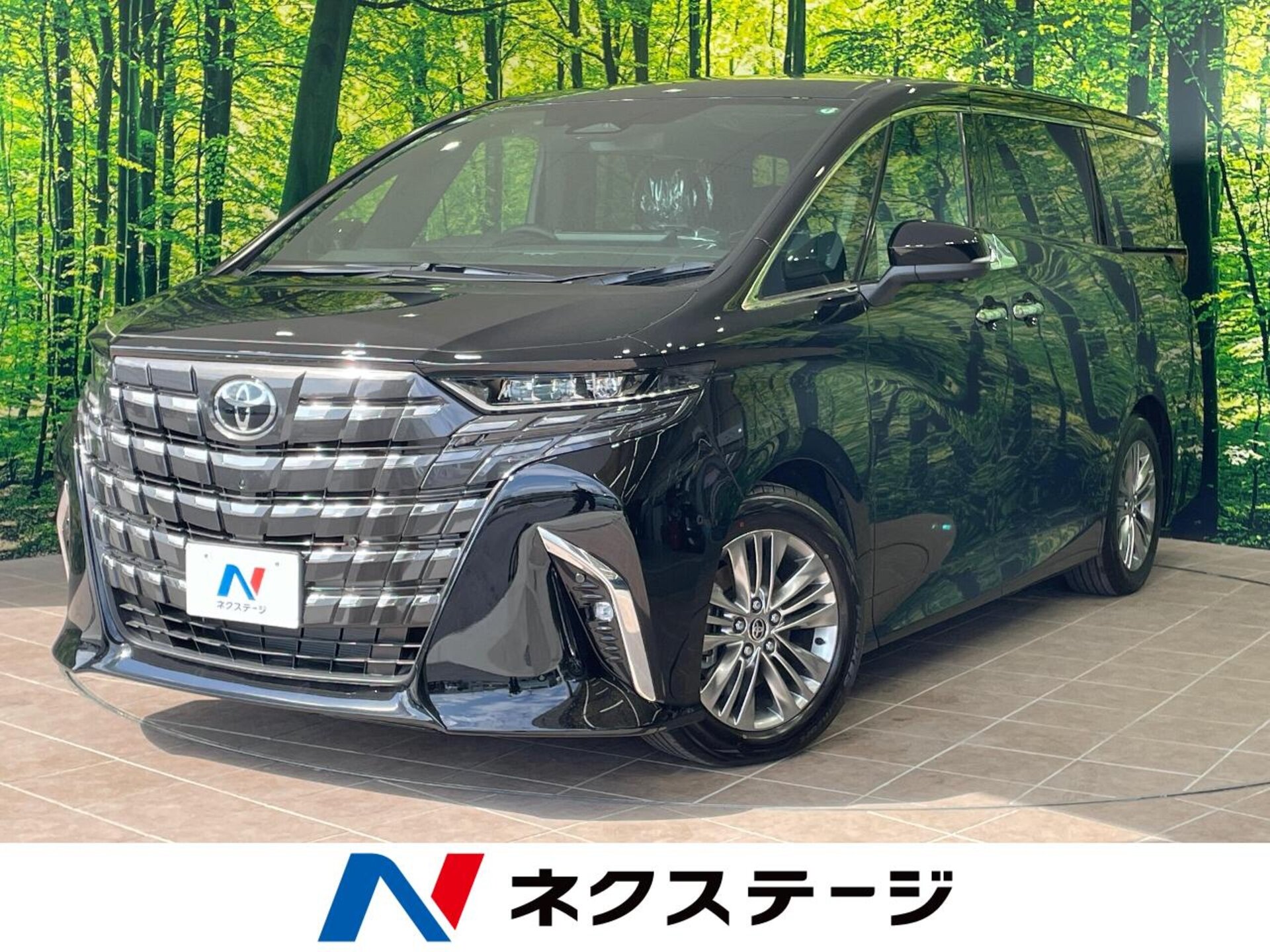 TOYOTA ALPHARD - View 1