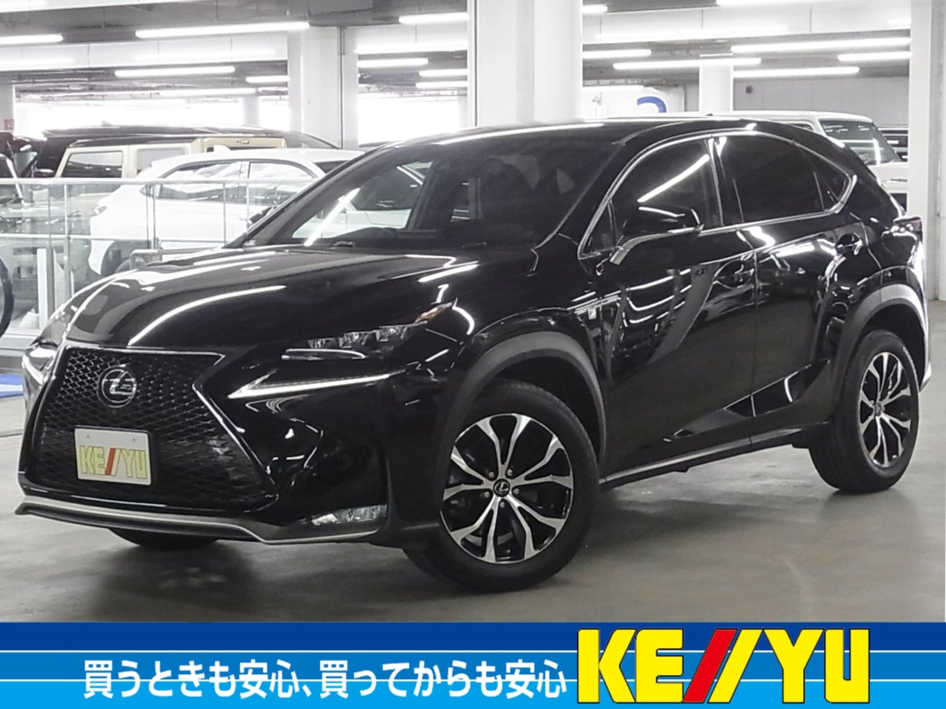 LEXUS NX - View 1