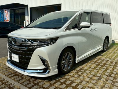 2025 Toyota ALPHARD — миниатюра 16