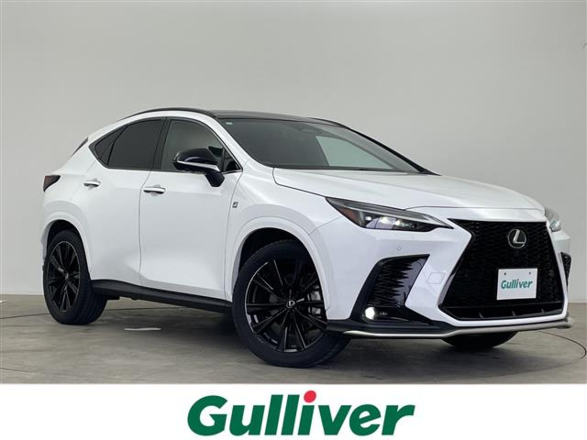 LEXUS NX - View 1