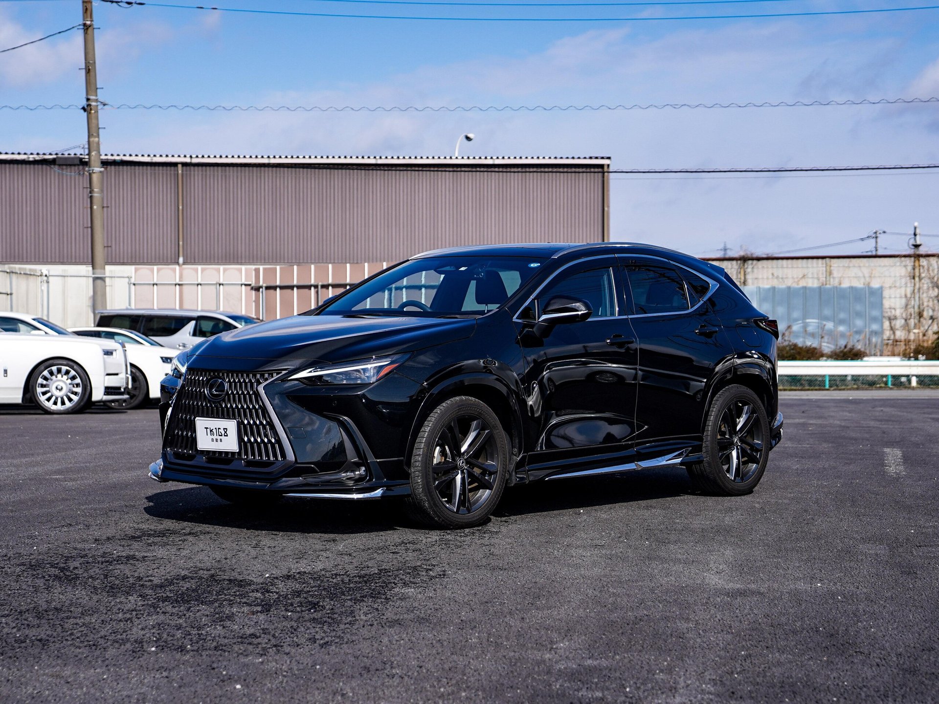 LEXUS NX - View 1