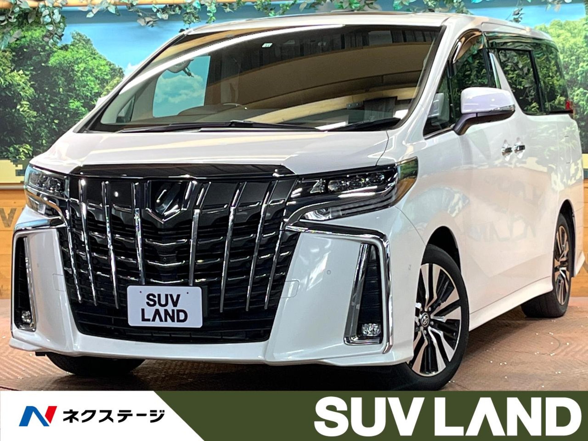TOYOTA ALPHARD - View 1