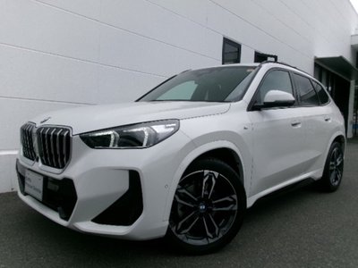 BMW X1 - 1