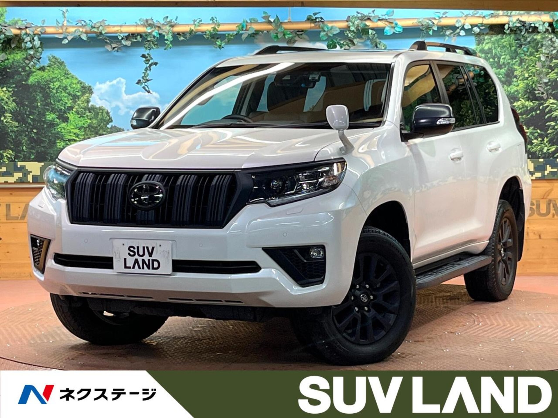TOYOTA LAND CRUISER PRADO - View 1