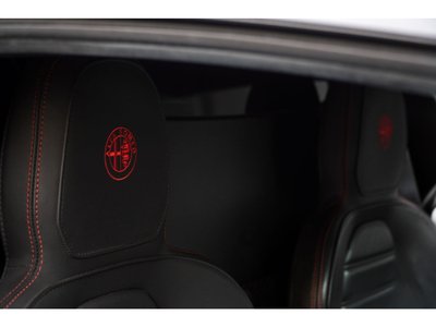 2015 ALFA Romeo 4C 照片 32