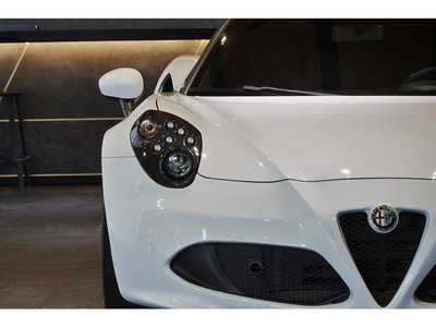 2015 ALFA Romeo 4C 照片 20