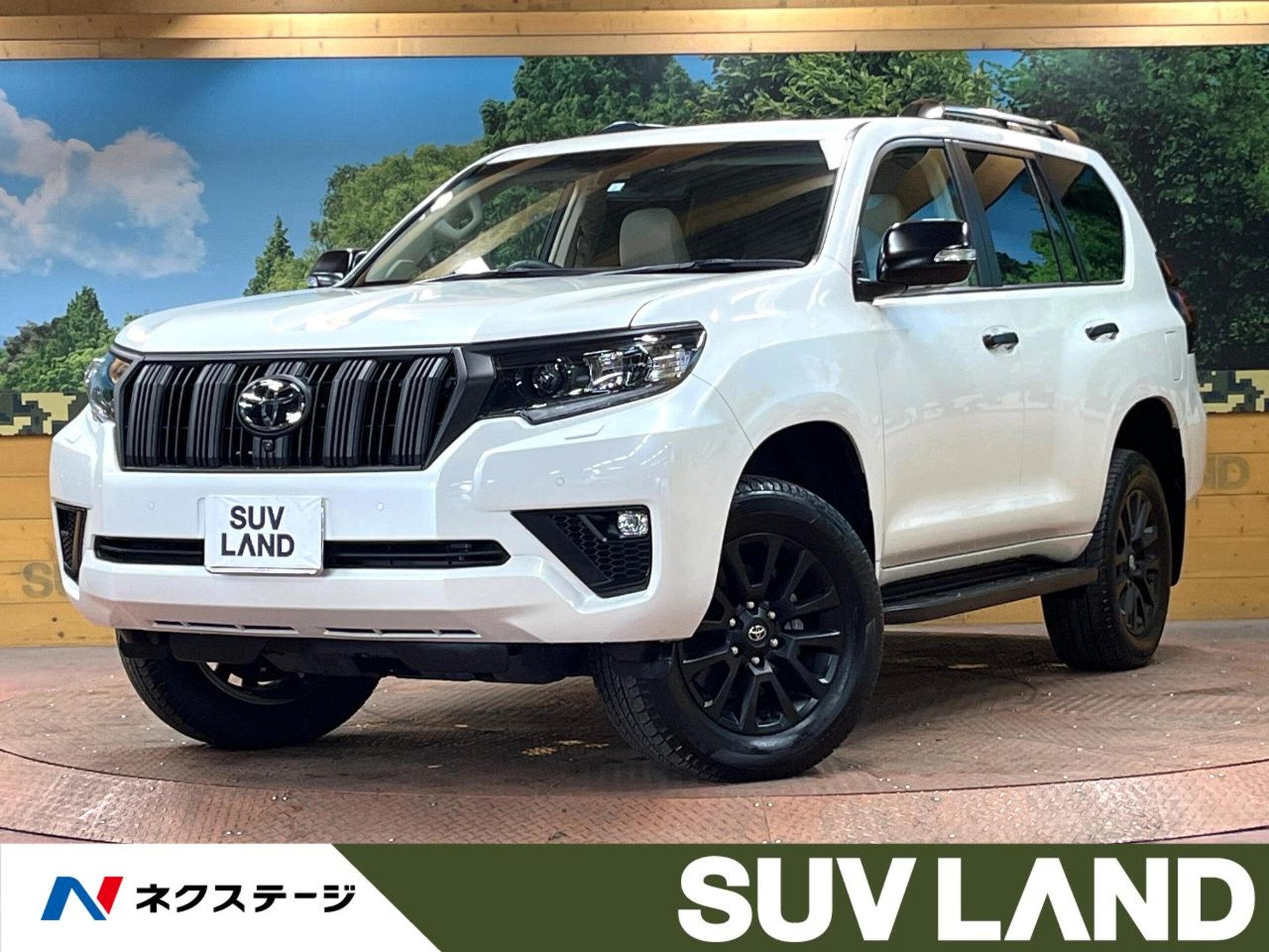 TOYOTA LAND CRUISER PRADO - View 1