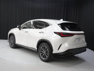 2023 Lexus NX — фото 4