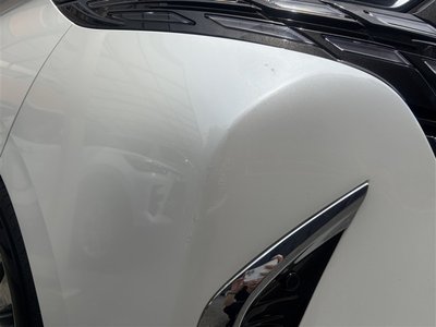 2025 TOYOTA ALPHARD 缩略图 31