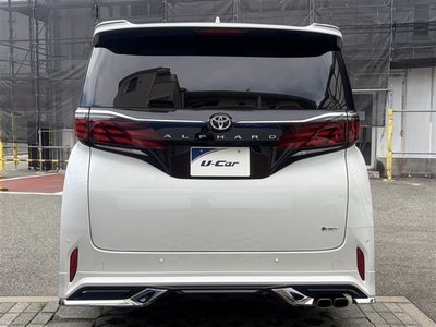 2025 TOYOTA ALPHARD 缩略图 24